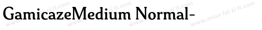 GamicazeMedium Normal字体转换
